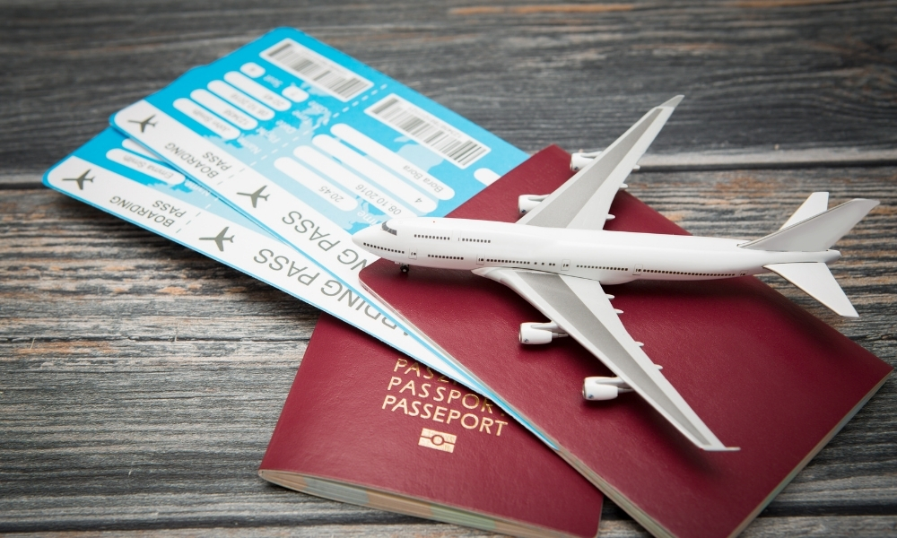 Get Your Dummy ticket free for visa