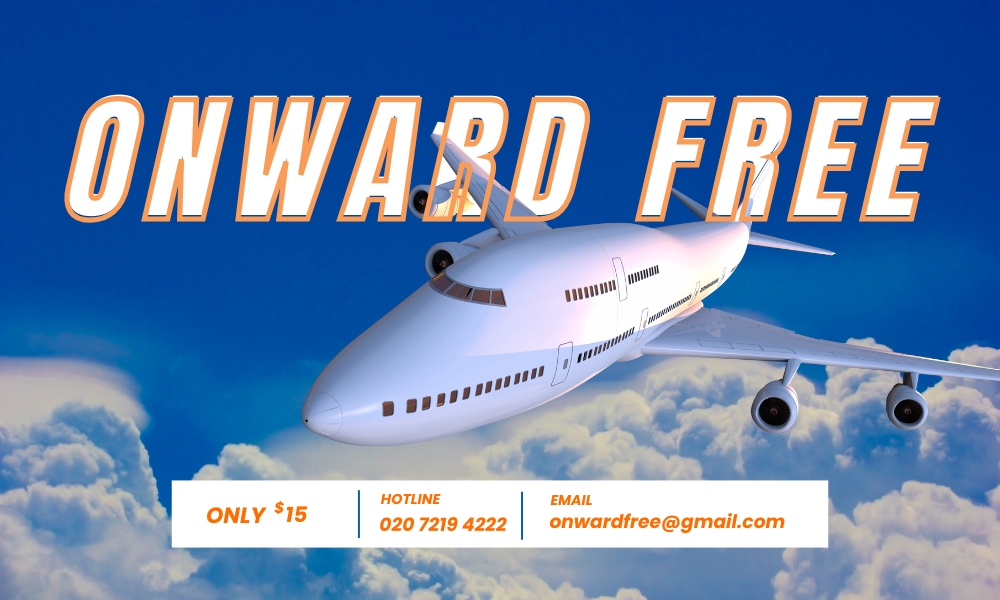How to make use of a fake flight ticket
