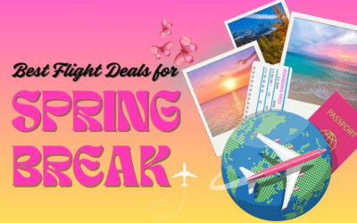 10 Tips to Find The Best Flight Deals for Spring Break