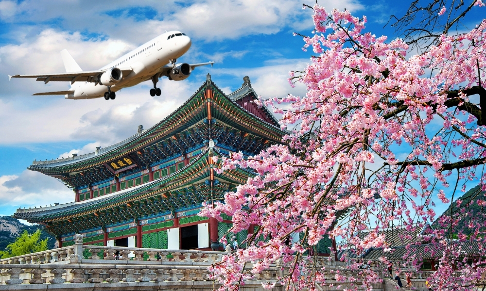 10 Tips to Find The Best Flight Deals for Spring Break