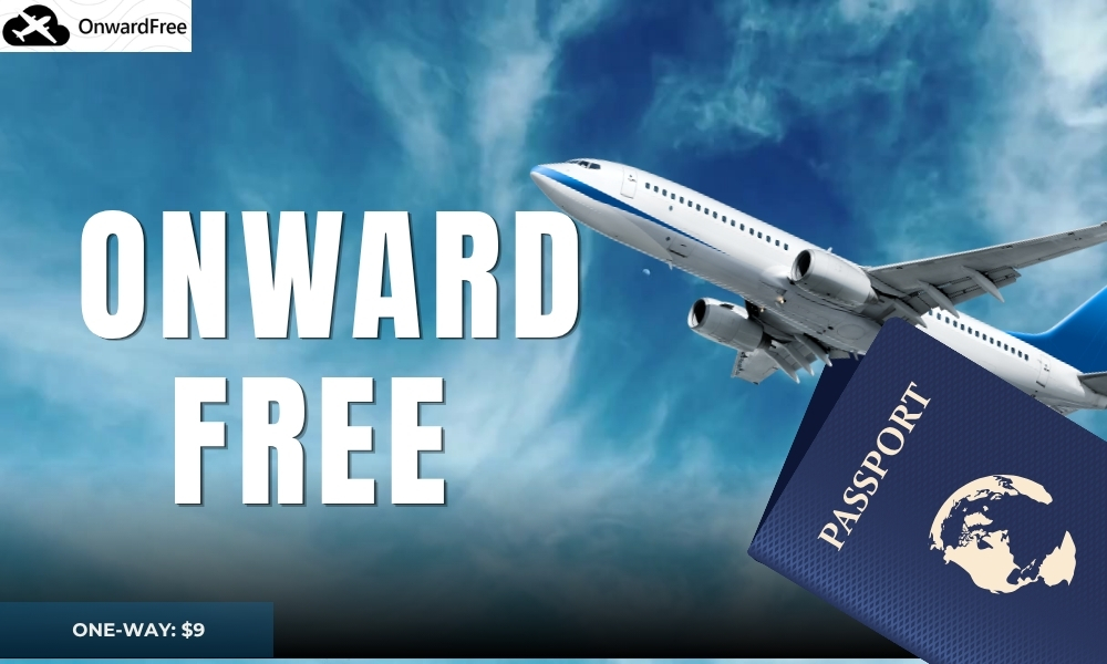 dummy ticket and fake flight ticket