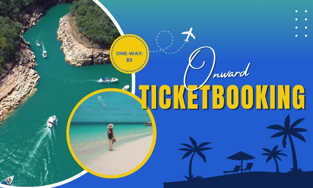 dummy ticket and fake flight ticket