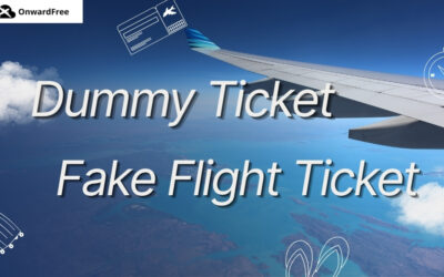 Dummy Ticket vs Fake Flight Ticket: Full Guide